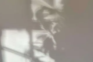 Why You’re Likely Vitamin D Deficient—Especially if You Live Above the 37th Parallel