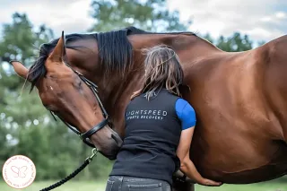 What Rehabbing a Horse Teaches You About Your Own Riding