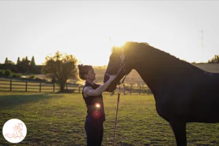 Why observing your horse will always tell you more than opinions ever will