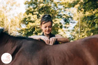 Why a Horse Trips in Front: The Head Nod Is Not a Diagnosis, It Is a Receipt