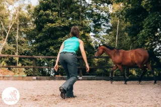 When a Horse Is Sound… But Still Struggling