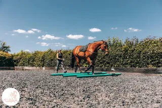 Why Your Horse Stays Hollow and What Actually Changes It