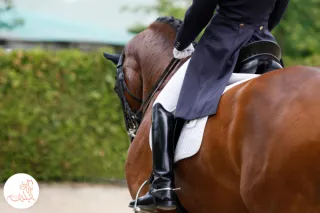 The Question Your Dressage Partnership Has Never Been Asked
