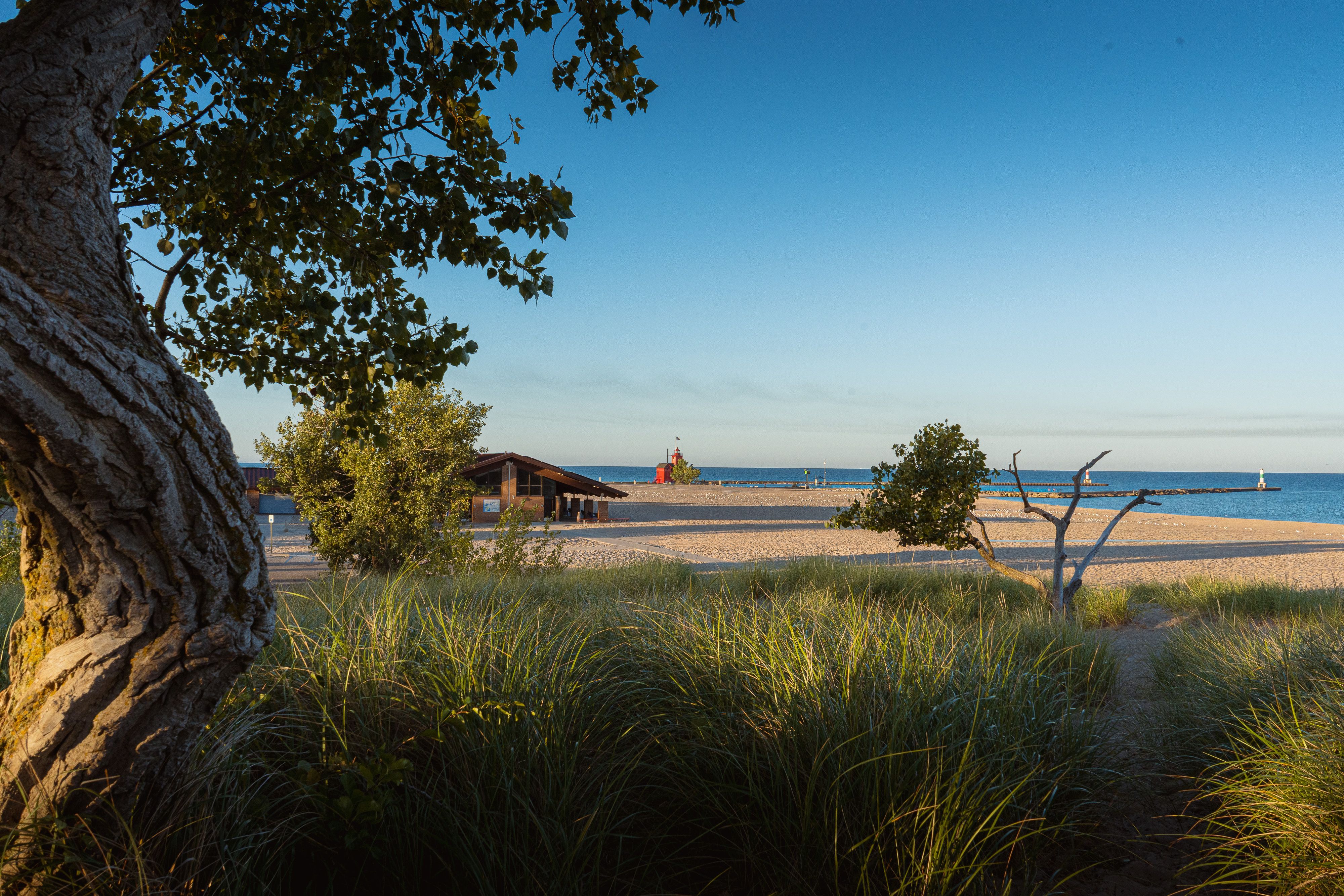 🚗 Car Rental Near Me in Hazel Park, MI: Why Local Rental Options Make Travel Easier | Good Faith Rentals, Hazel Park, MI