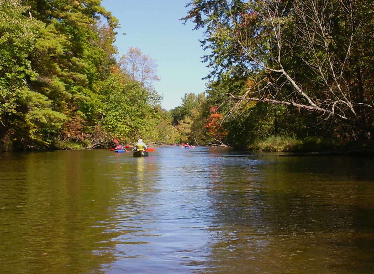 🚗 A Car Rental Guide to Exploring Ferndale, MI from Hazel Park