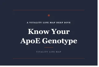 ApoE4 and menopause: what your genotype means for brain health