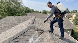 Roof Rejuvenation Spray: How It Works & Is Applied