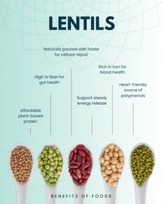 Discover the Nutritional Power of Lentils