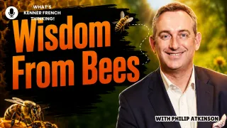 Wisdom From Bees: What Bees Can Teach Business Leaders About Success, Burnout, and Growth