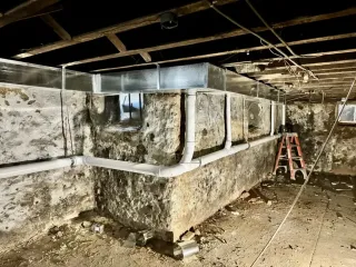 What has to happen to a damp basement before a single stud goes up