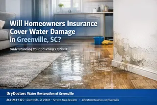 Will Homeowners Insurance Cover Water Damage in Greenville, SC?