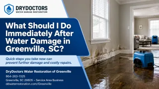What Should I Do Immediately After Water Damage in Greenville, SC?