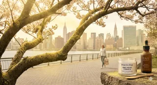 Spring Allergy Alert 2026: Why Hudson County Pollen is Different This Year? 