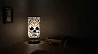 Gothic shadow photography: Live the art with Skull Lamp projection