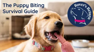 The Puppy Biting Survival Guide.