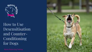 Counter Conditioning for Reactive Dogs