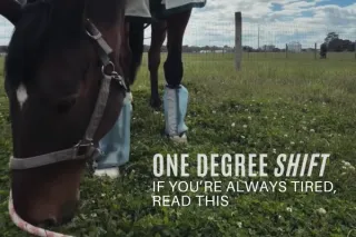 If You’re Always Tired, Read This