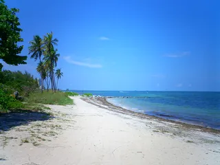 Before the Ship Sets Sail: Your Miami Cruise Travel Guide with FlexMobility