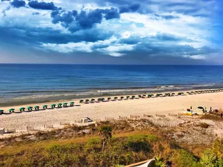🌴 Ocean Views to Colorful Street Art: Discover Miami from South Beach to Wynwood with FlexMobility