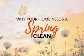 Why Your Home Needs a Spring Clean
