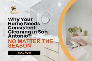 Why Your Home Needs Consistent Cleaning in San Antonio—No Matter the Season