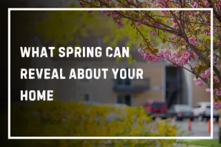 What Spring Can Reveal About Your Home