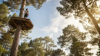 The Unexpected Side Effects of Healing: How changing one part of your life can quietly change everything else