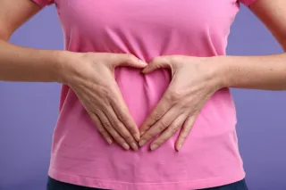 The Estrobolome: The Gut Bacteria That Control Estrogen