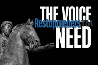 The Voice Every Restopruener™️ Needs