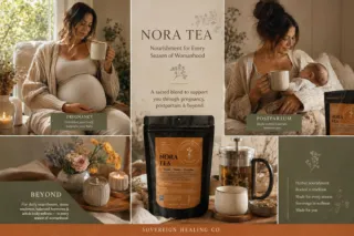 The Four Herbs Behind NORA: A Look Inside Your Daily Tonic