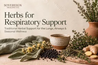 Understanding Herbal Support for the Respiratory System