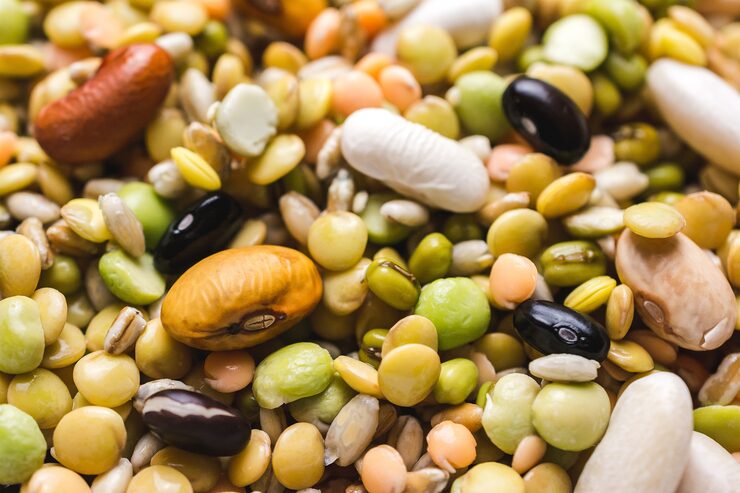 Bienfaits des haricots et légumineuses - Diététique chinoise