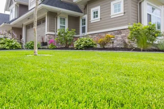 How to Keep Your Lawn Healthy During the Hot July Weather
