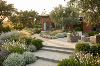 How Landscaping Can Create the Perfect Outdoor Entertaining Space