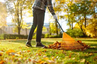 October Lawn Care: Preparing Your Property for Winter