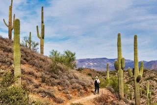 The Best Ahwatukee Park for Birding and Quiet Nature Walks