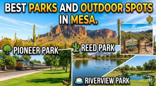 Best Parks and Outdoor Spots in Mesa