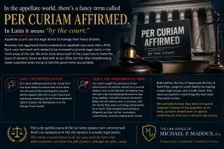 Per Curiam Affirmed: When Appellate Losses Hurt Most