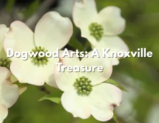 Dogwood Arts: A Knoxville Treasure
