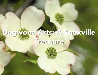 Dogwood Arts: A Knoxville Treasure