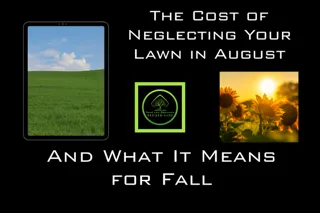 The Cost of Neglecting Your Lawn in August (What It Means for Fall)
