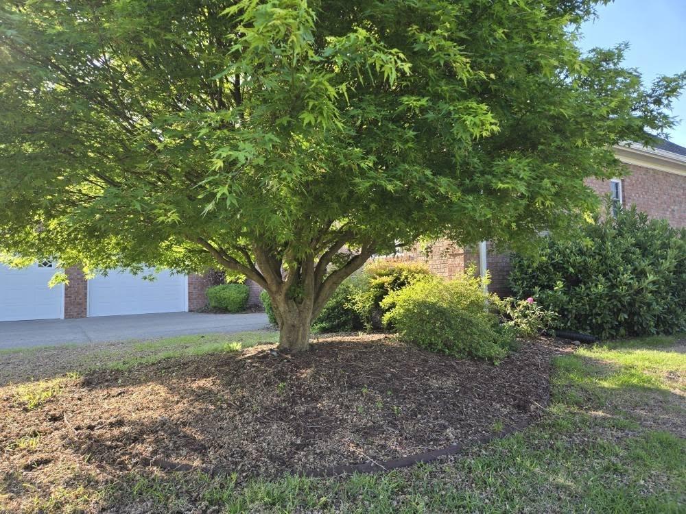 The Fall Handoff: What Your Lawn Is Really Doing Underground Right Now, and How to Help It