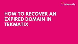 How to Recover an Expired Domain in Tekmatix
