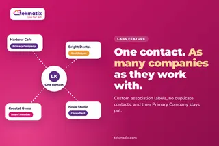 How do I link one contact to more than one company on Tekmatix?