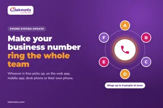 How do I make my business number ring the whole team on Tekmatix?