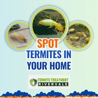 3 Signs You Might Have Termites in Your Home