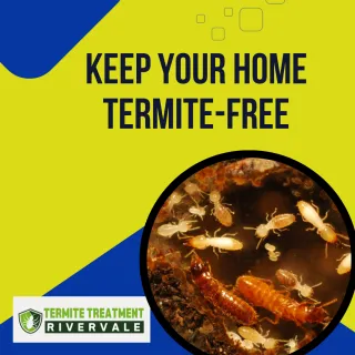 How to Identify and Eliminate Termites Quickly