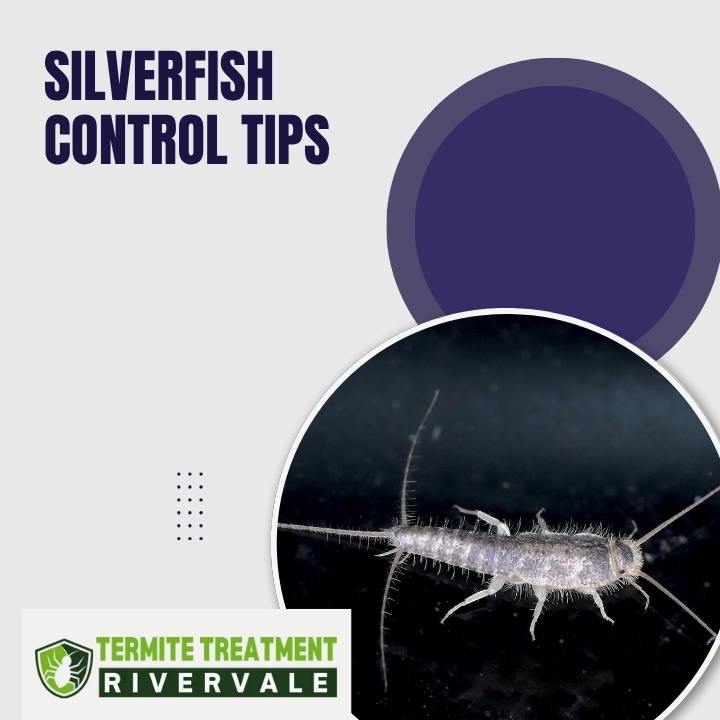 Silverfish Control Tips to Protect Your Home from Damage