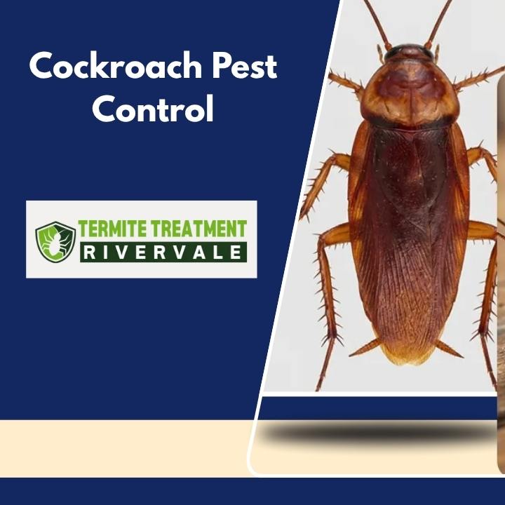 Professional Cockroach Control Tips for a Cleaner Living Space in Perth