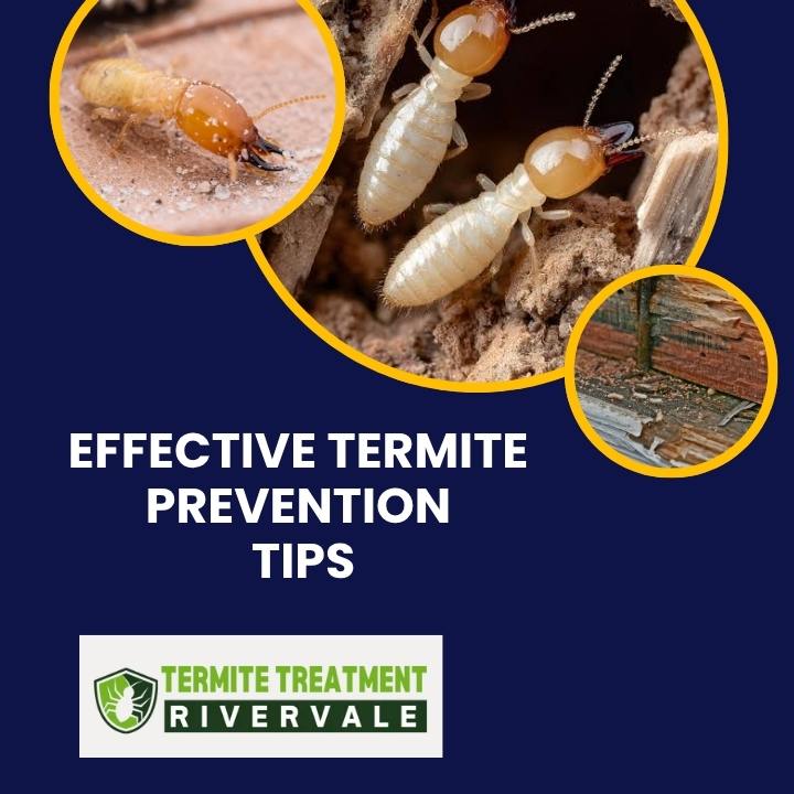 Termite Prevention Strategies That Actually Work in Perth Homes